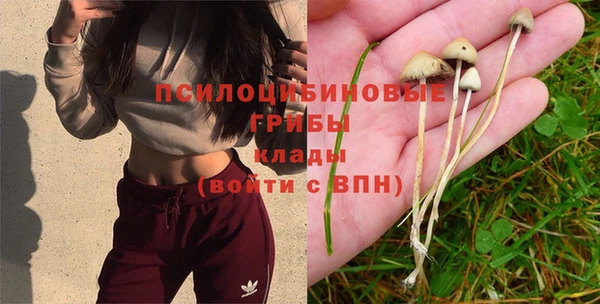 mdpv Слюдянка