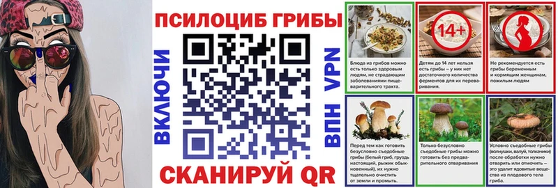 купить наркоту  Петушки  Галлюциногенные грибы Psilocybe 